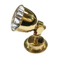 122356 Light - Halogen Bulkhead