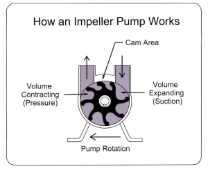 Diagram showing how boat engine impellers work.