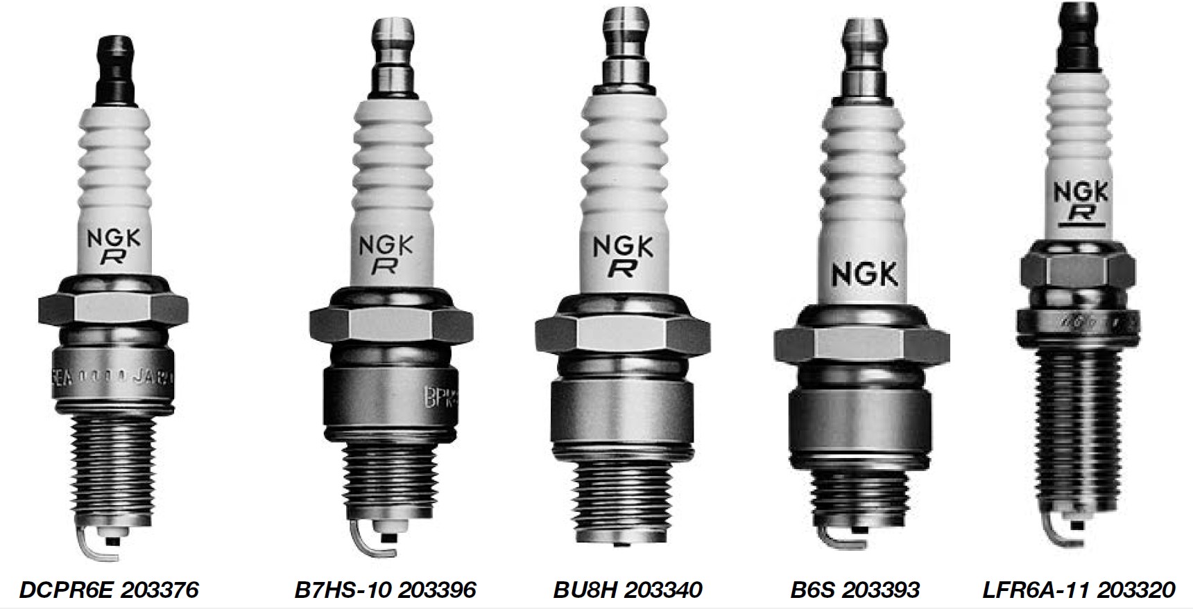 NGK Spark Plugs Line Up